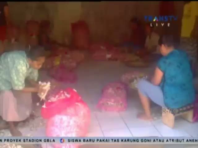 Kulit Bawang Putih Pengganti Elpiji 3 Kg