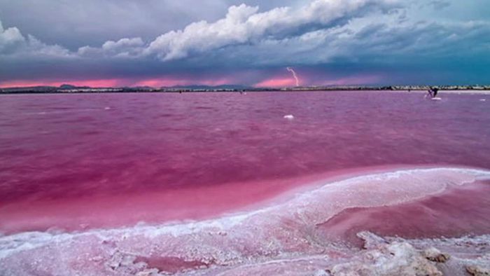 Part 3 - Danau Pink Di Beberapa Belahan Dunia