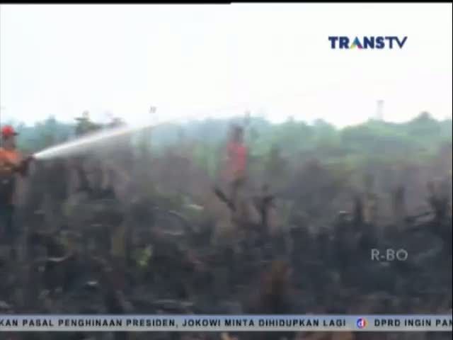 Terdapat 186 Titik Api di Riau