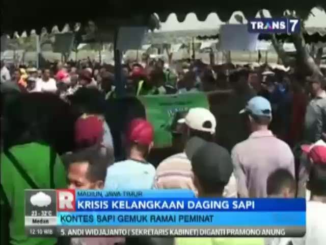 Kontes Sapi Gemuk Ramai Peminat