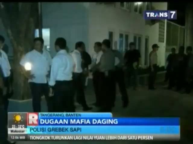 Bareskrim Gerebek Tempat Penimbunan Sapi 