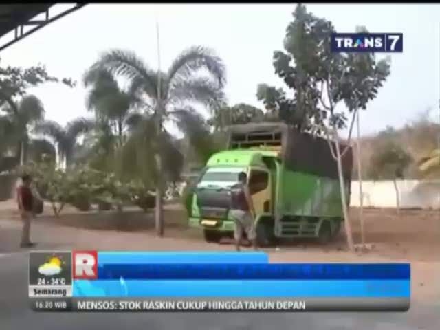 Penyelundupan Daging Babi Ilegal Digagalkan