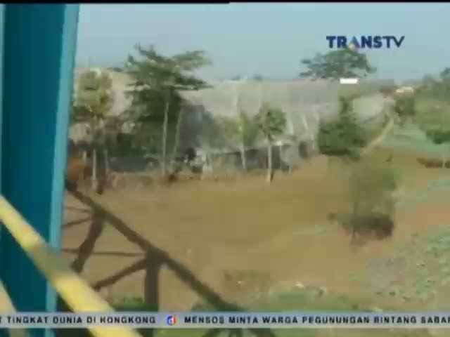 Warga Bercocok Tanam Di Sungai Citarum yang Menggering