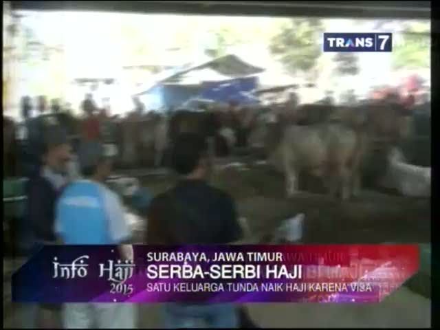 Harga Hewan Qurban Meroket, Warga Berburu Sapi Hutan 