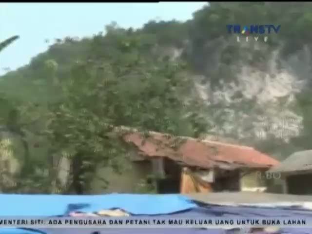 Ratusan Monyet Serang Pemukiman Warga