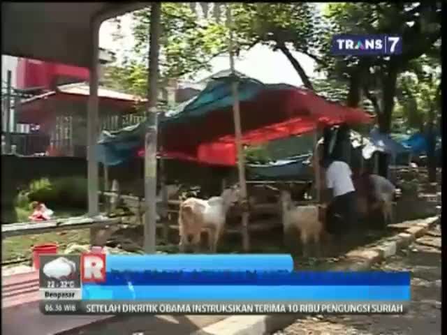 Larangan Memotong Hewan Kurban di Sekolah Menuai Polemik