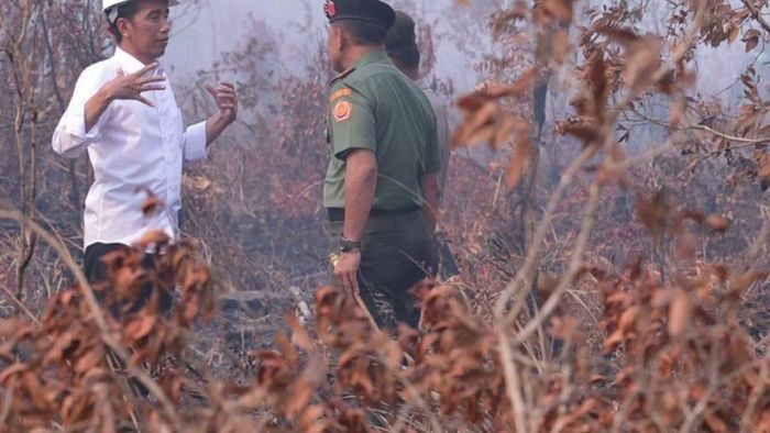 [Morning Friends] Jokowi Mengunjungi Hutan Berasap  Tanpa Masker