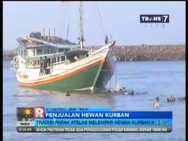 Tradisi Parak Atelas, Melepas Hewan Kurban ke Laut