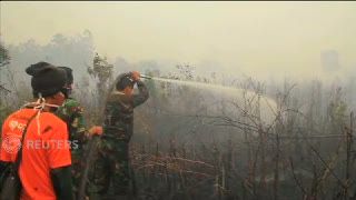 Ada Pelaku Bayaran, Siapa Dalang di Balik Kebakaran Lahan dan Hutan?
