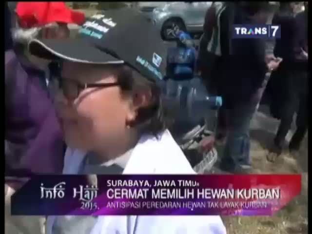 Tips Memilih Hewan Kurban 