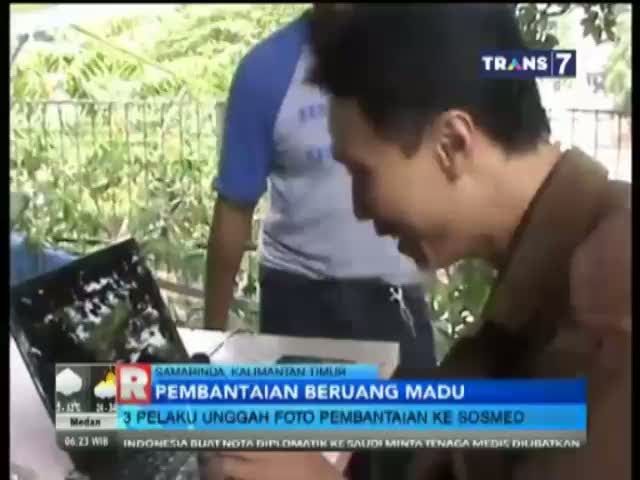 Pembantai Beruang Madu Ditangkap!