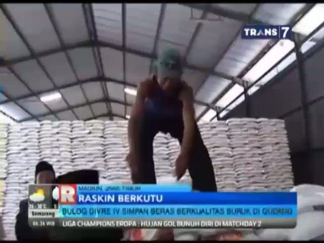 Bulog Simpan Beras Raskin, Berkutu dan Bau!