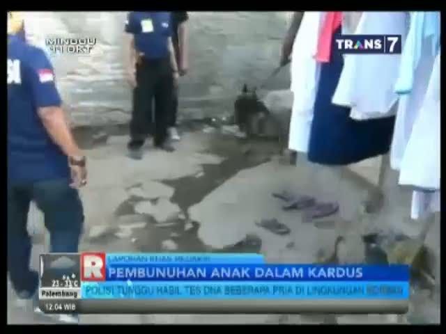 Polisi Usut Kasus Pembunuhan Anak Dalam Kardus 