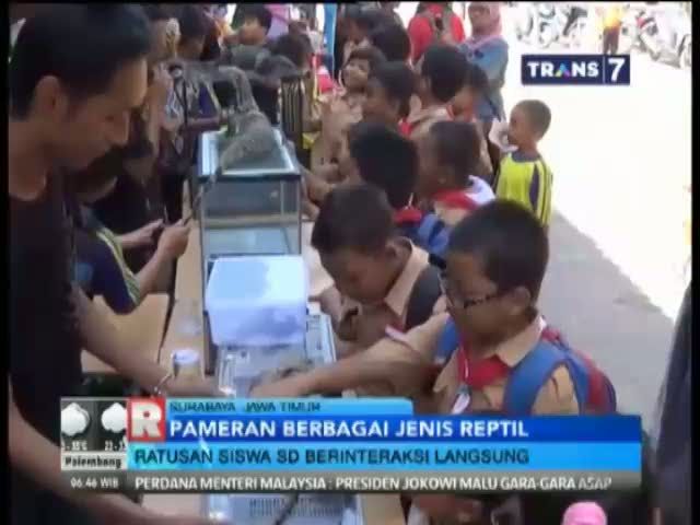 Menghilangkan Phobia Pada Anak Terhadap Reptil
