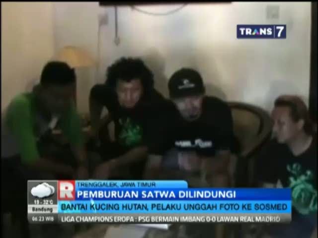 Bantai Kucing Hutan, Pelaku Unggah Foto ke Sosmed