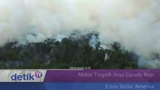 Akibat Tragedi Asap Garuda Rugi 8 Juta Dollar Amerika 