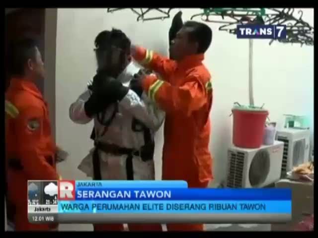 Warga Perumahan Elit diserang Tawon!