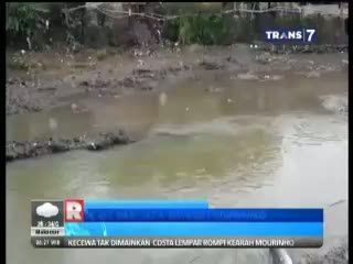 Ikan Raksasa di Sungai Ciliwung 