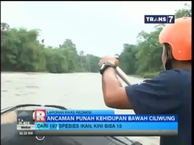 Ancaman Kepunahan Ekosistem di Sungai Ciliwung 