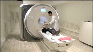 Ternyata Otak Manusia Tidak Bisa Dibedakan Antara Laki-laki atau Perempuan