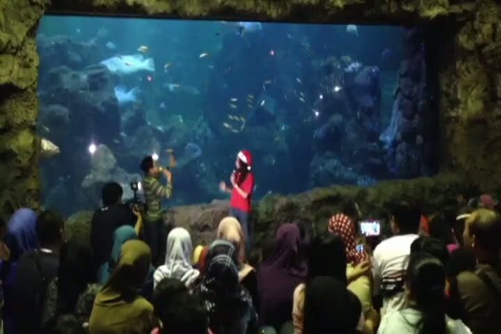 Serunya Pertunjukkan Santa Claus di Dalam Air 