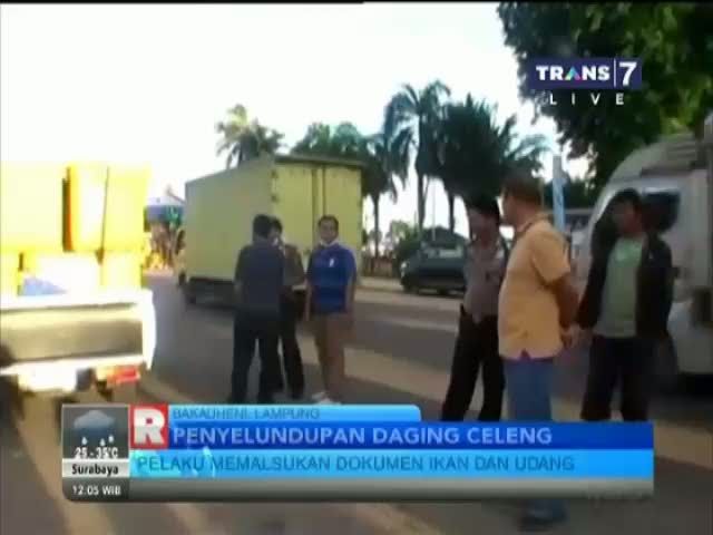 Ratusan Kilo Daging Babi Ilegal Diamankan Petugas!