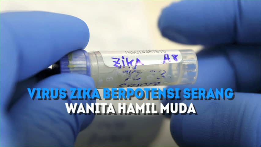 Virus Zika Berpotensi Serang Wanita Hamil Muda