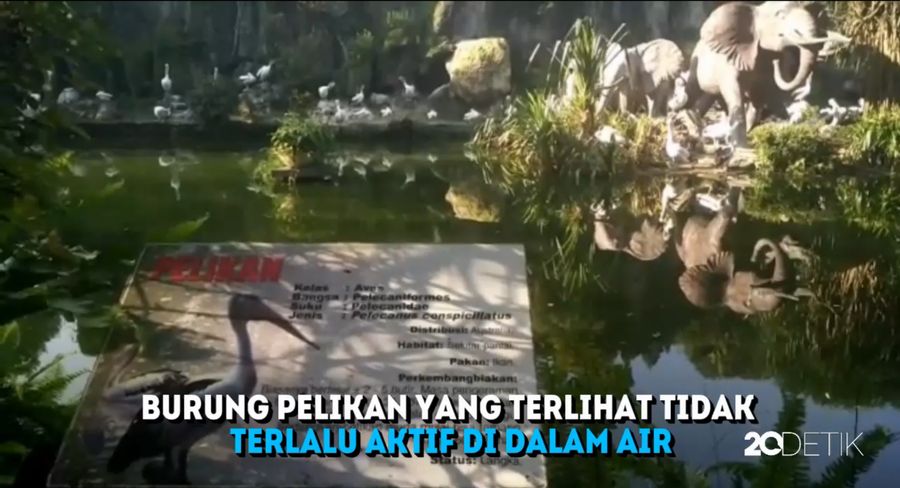 Perilaku Unik Hewan-hewan di Ragunan Pada Gerhana Matahari