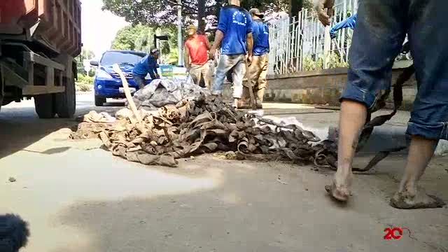 Beraksi Sejak Gerhana Matahari, Pasukan Biru Temukan Sedimen dan Kabel