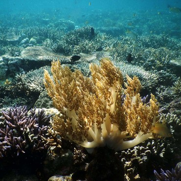 Ini Alasan Indonesia Dijuluki Negara Terindah No. 1 di Dunia