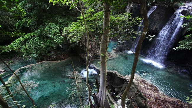 Menjaga kelestarian hutan bisa dimulai melalui menjaga perilaku sehari-hari.