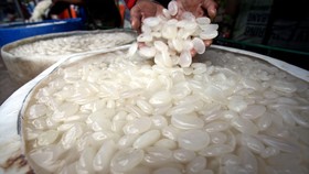 Kamu Ingin Diet dengan Kolang-Kaling?