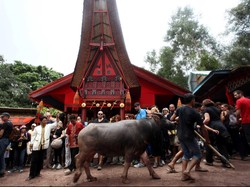 Serba-serbi Rambu Solo, Ritual Suku Toraja Sempurnakan Kematian Keluarga