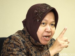 Isi Garasi Mensos Baru Tri Rismaharini: Cuma Dua Mobil
