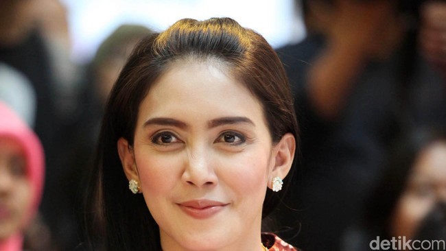 Rieke Diah Pitaloka akan didampingi oleh tiga wakil ketua pansus yakni Aziz Syamsuddin, Desmond J Mahesa, dan Teguh Juwarno.
