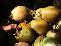 Penampakan Kelapa Nyangkut di Dalam Rektum Pria, Diduga untuk Kepuasan Seksual