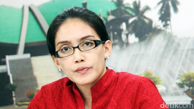 Anggota DPR berharap pansus dapat menjadi pintu masuk untuk membenahi ragam persoalan yang ada di perusahaan pelat merah itu.