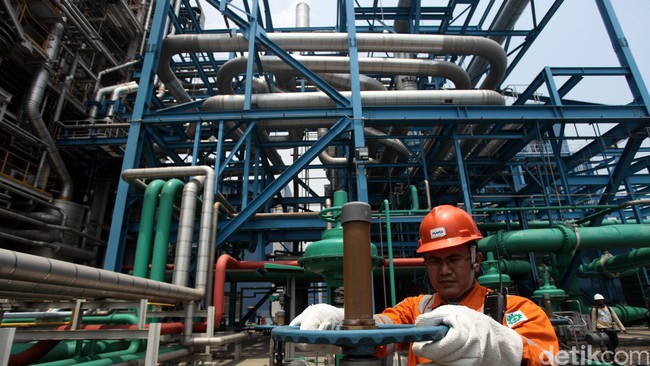 Rencana pembangunan delapan unit Pembangkit Listrik Tenaga Panas Bumi oleh PT Pertamina Geothermal mulai menemui titik terang. Pendanaannya sudah disetujui DPR.