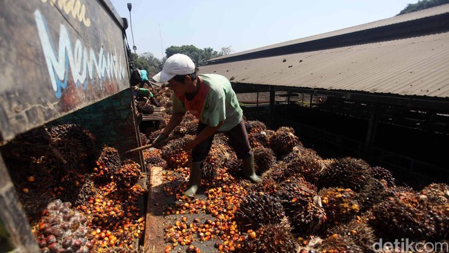 PT Rajawali Corpora yang dimiliki pengusaha Peter Sondakh akan menjadi pembeli siaga dari rights issue 85,71 persen saham BWPT di harga Rp 390-411 per saham.