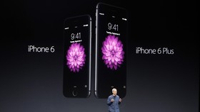 Harga Resmi iPhone 6 dan iPhone 6 Plus di Indonesia