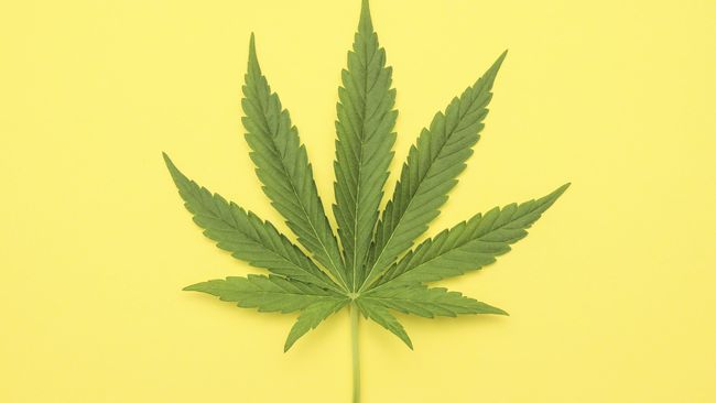 Banyak bukti mendukung penggunaan ganja untuk beberapa kondisi medis, tapi tidak untuk yang lainnya.