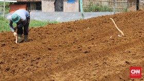 Sulitnya Mengajar Petani Kita
