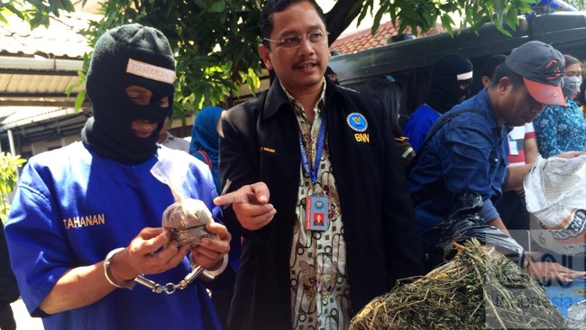 Pengiriminan lebih dari 8 ton ganja asal Aceh diamankan oleh BNN di Riau. Rencananya, ganja akan dikirim ke Bandung.