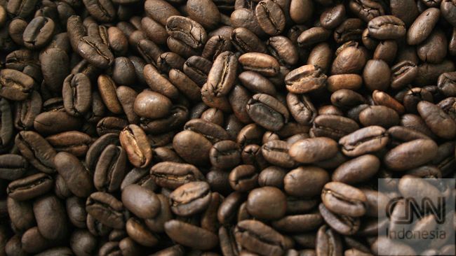 Kopi Lanang terasa semakin istimewa karena jumlah produksinya yang sangat terbatas, biasanya hanya 5 persen hingga 10 persen dari total produksi kopi.