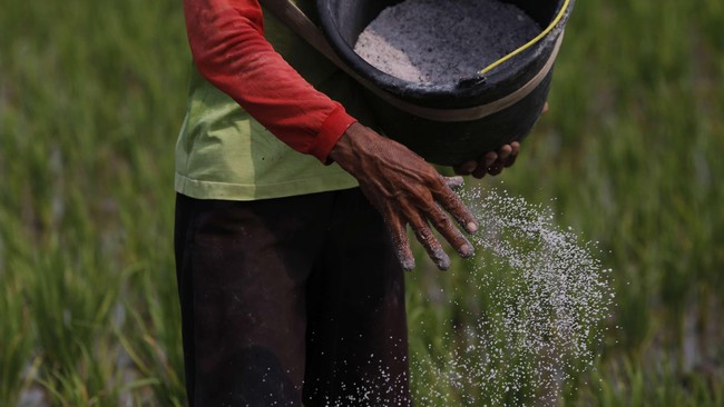 Jokowi menilai sebagai negara agraris, Indonesia harus mengubah pola pikir dari negeri yang gemar impor produk pangan menjadi negara swasembada.
