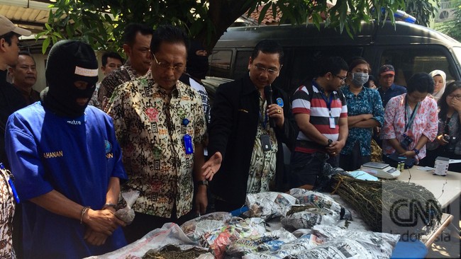 Wilayah Bogor, Jawa Barat, kini menjadi perhatian Badan Narkotika Nasional setelah ditemukannya ladang ganja seluas 1000 meter di kawasan Gunung Putri.&nbsp;