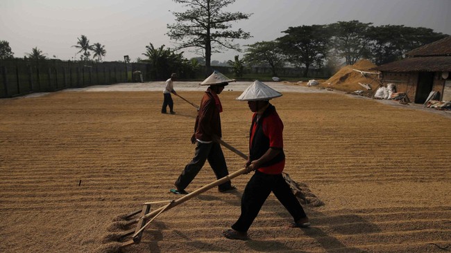 Naiknya harga BBM bersubsidi akan menambah biaya garap lahan pertanian menggunakan traktor dan menaikkan harga kebutuhan pokok.