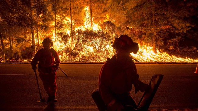 Kebakaran hutan melanda area seluas 8.000 hektare di Los Angeles, Amerika Serikat, pada Sabtu malam (23/7).