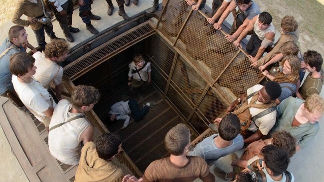 Film petualangan remaja The Maze Runner sudah hadir di bioskop Indonesia. Malam ini juga ada beberapa film midnight.