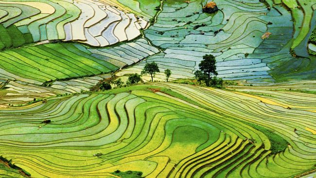 Keindahan pemandangan alam berupa pantai, sawah, gunung juga eksotisme arsitektur pura memikat siapa saja yang datang berkunjung ke Pulau Dewata.